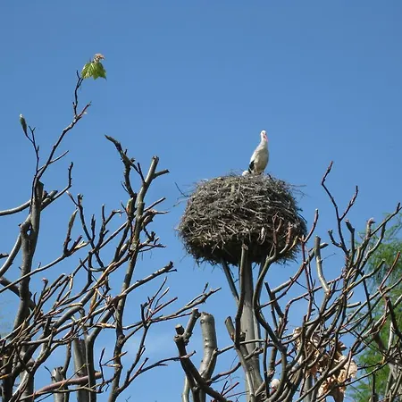 Διαμέρισμα Starke *